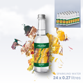 0.27L x 24 Canvas by MonViso Glass Bottle Sparkling Natural Mineral Water