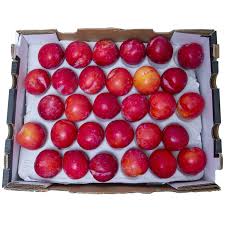 Red Plums South Africa 5kg