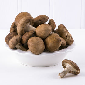 Shitake Brown Mushroom