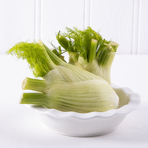 Fennel