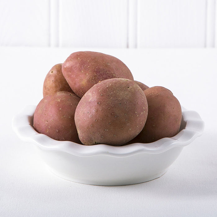 Red Potato