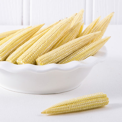 Baby Corn