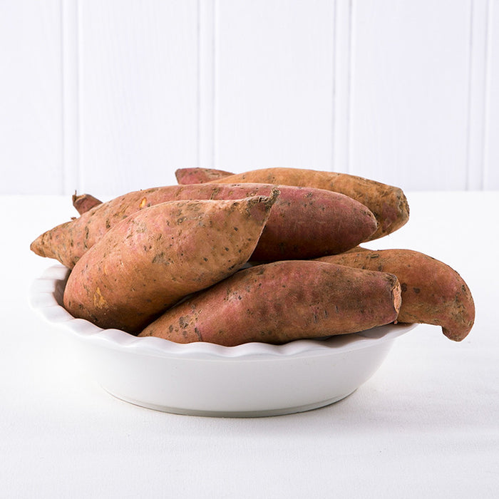 Sweet Potato