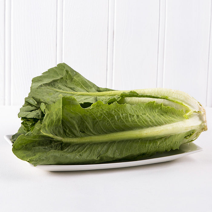 Romaine Lettuce