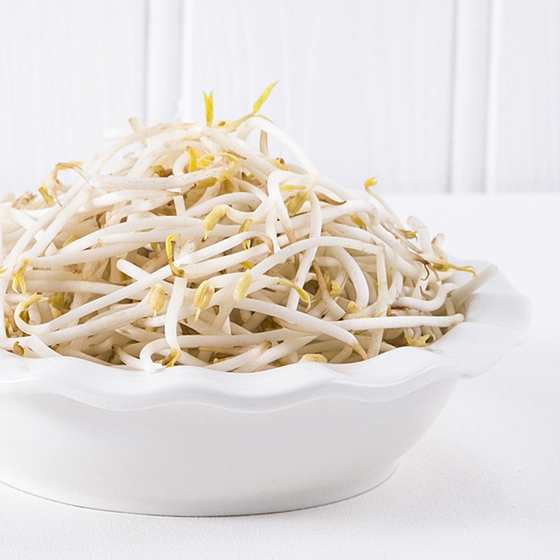 Beans Sprouts