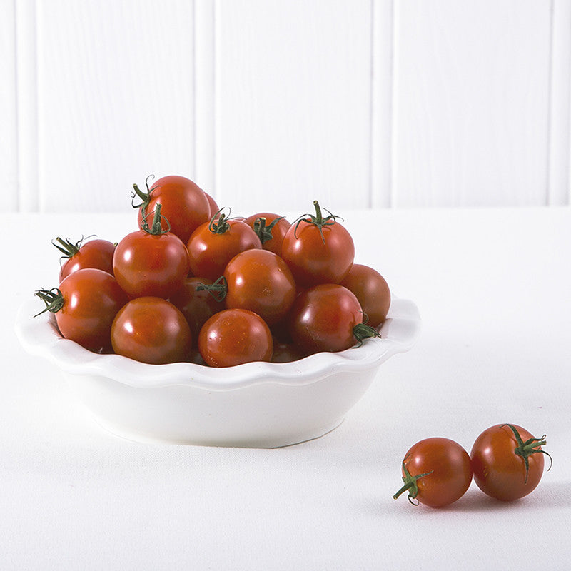 Tomato Cherry Red PP