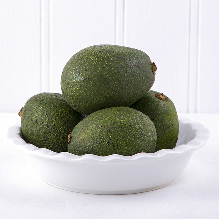 Fuerta Avocado