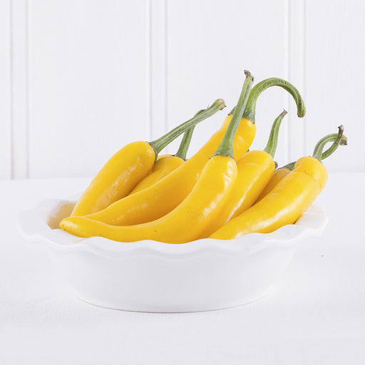 Yellow Chilli