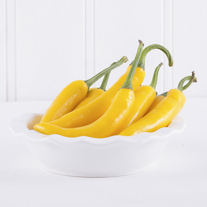 Yellow Chilli