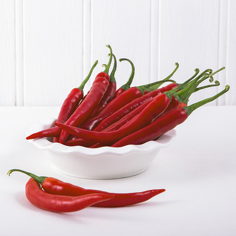 Red Long Chillies