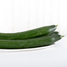 Cucumber Big