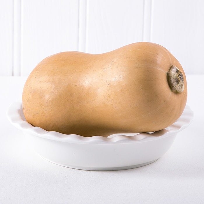 Butternut Pumpkin