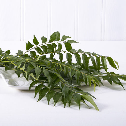 Curry Leaves