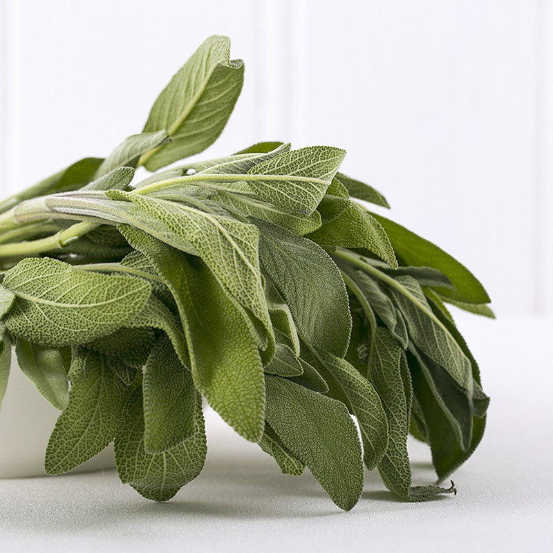 Sage-100g