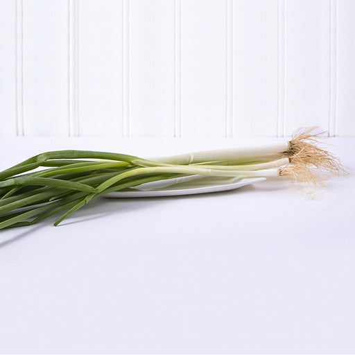 Spring Onion