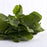 Green Spinach