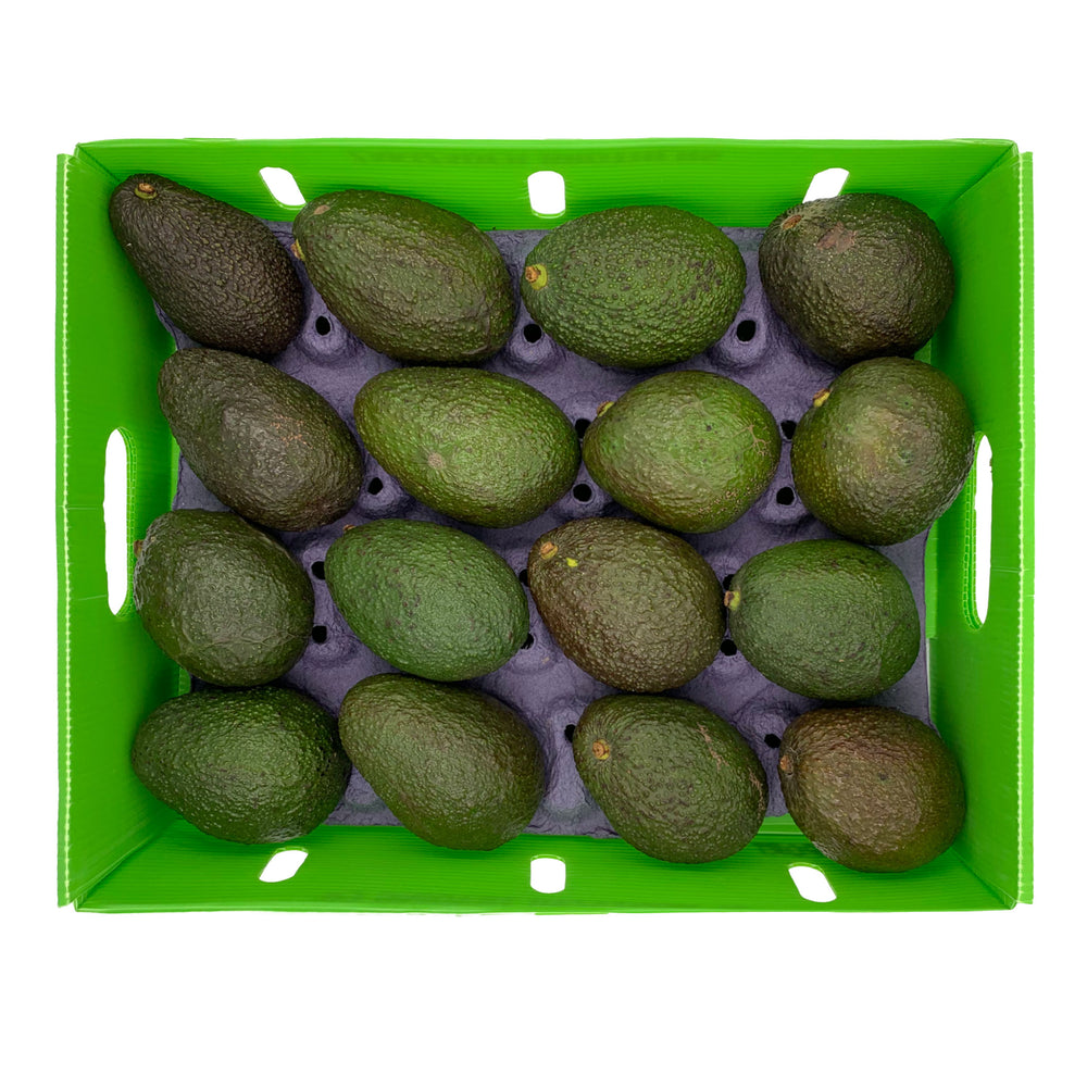 Avocado Hass Mexico 10Kg