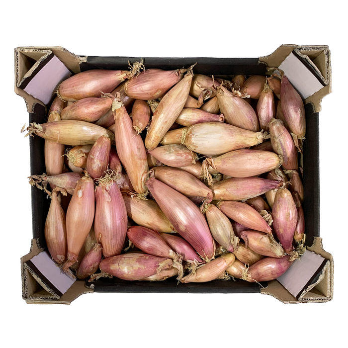 Banana Shallots 5Kg