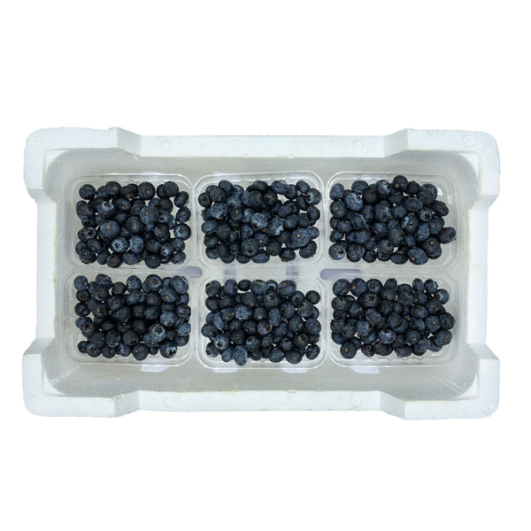 Blueberries 125gm x 12