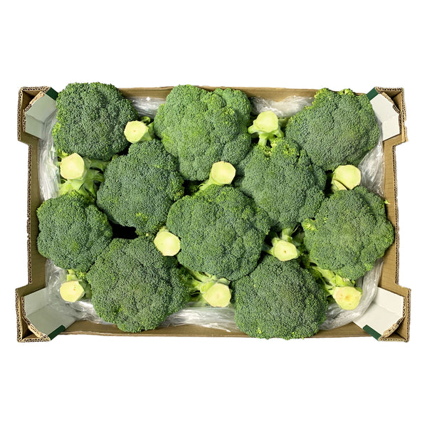 Broccoli 8Kg
