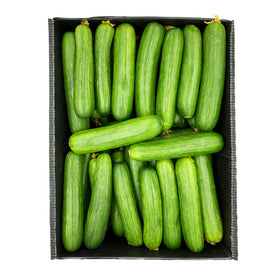 Cucumber 18 Kg