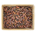 Mabroom Dates 10KG