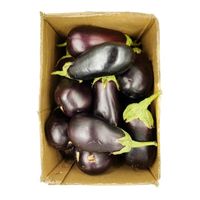 Eggplant 5 Kg