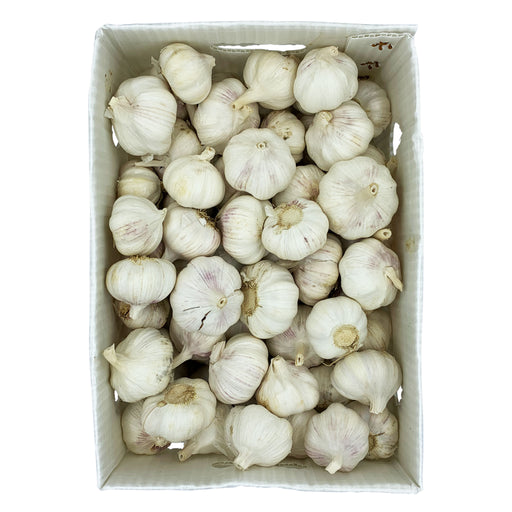 Garlic 3.5kg