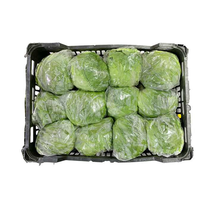 Iceberg Lettuce 6Kg