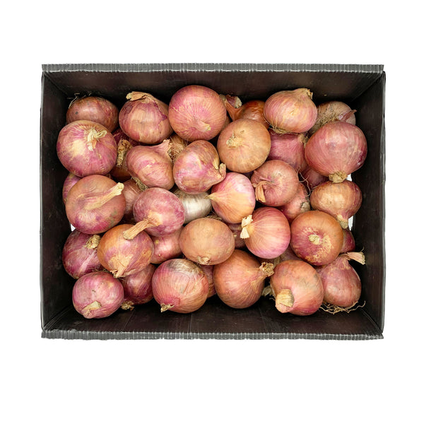 Onion Red 15 kg