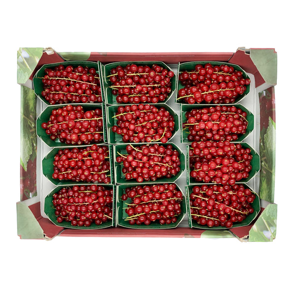 Red Currants 125gm x 12