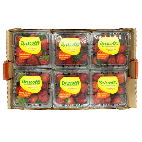 Strawberries 250gm x 12 usa